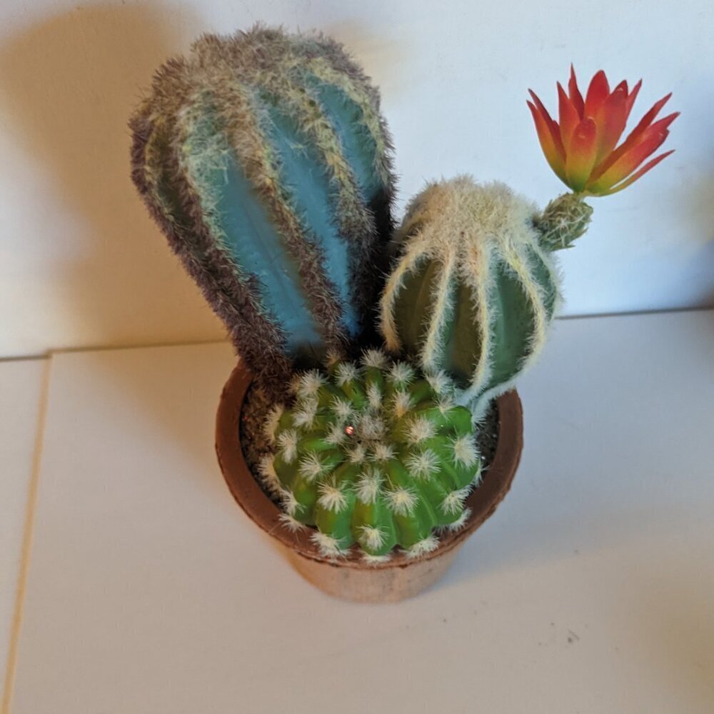 NEW Ashland Faux Triple Cactus Clay Pot Floral Succulent Michael's Desert Summer - Picture 8 of 8